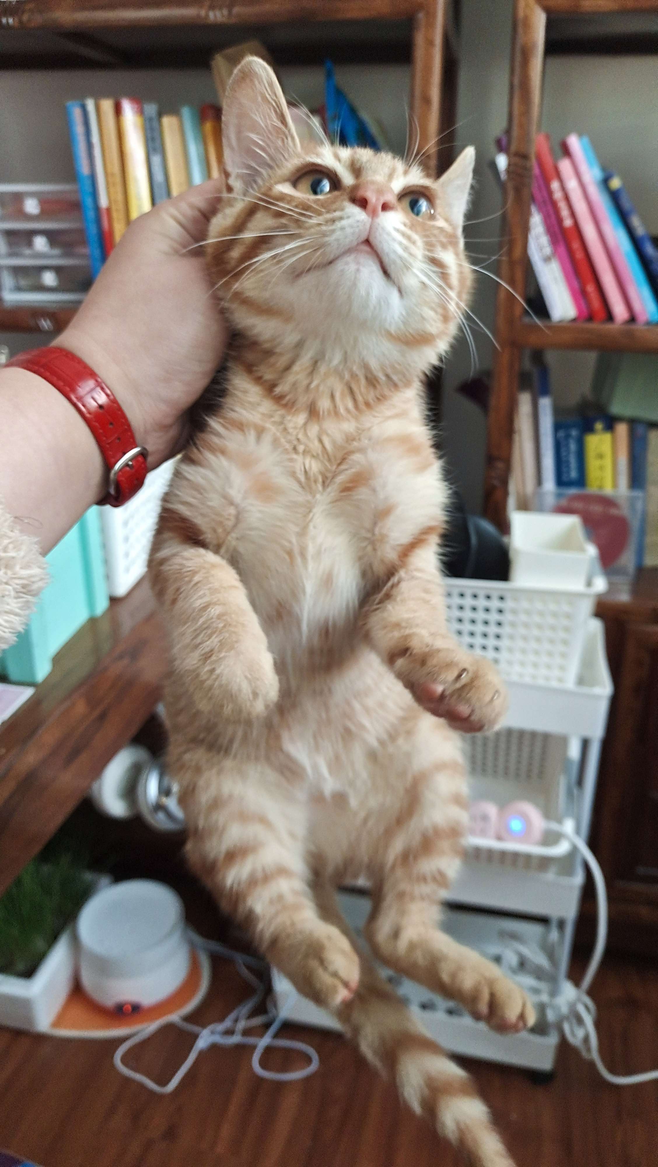 YaoSuo20231108111725.jpg YaoSuo20231108111725.jpg