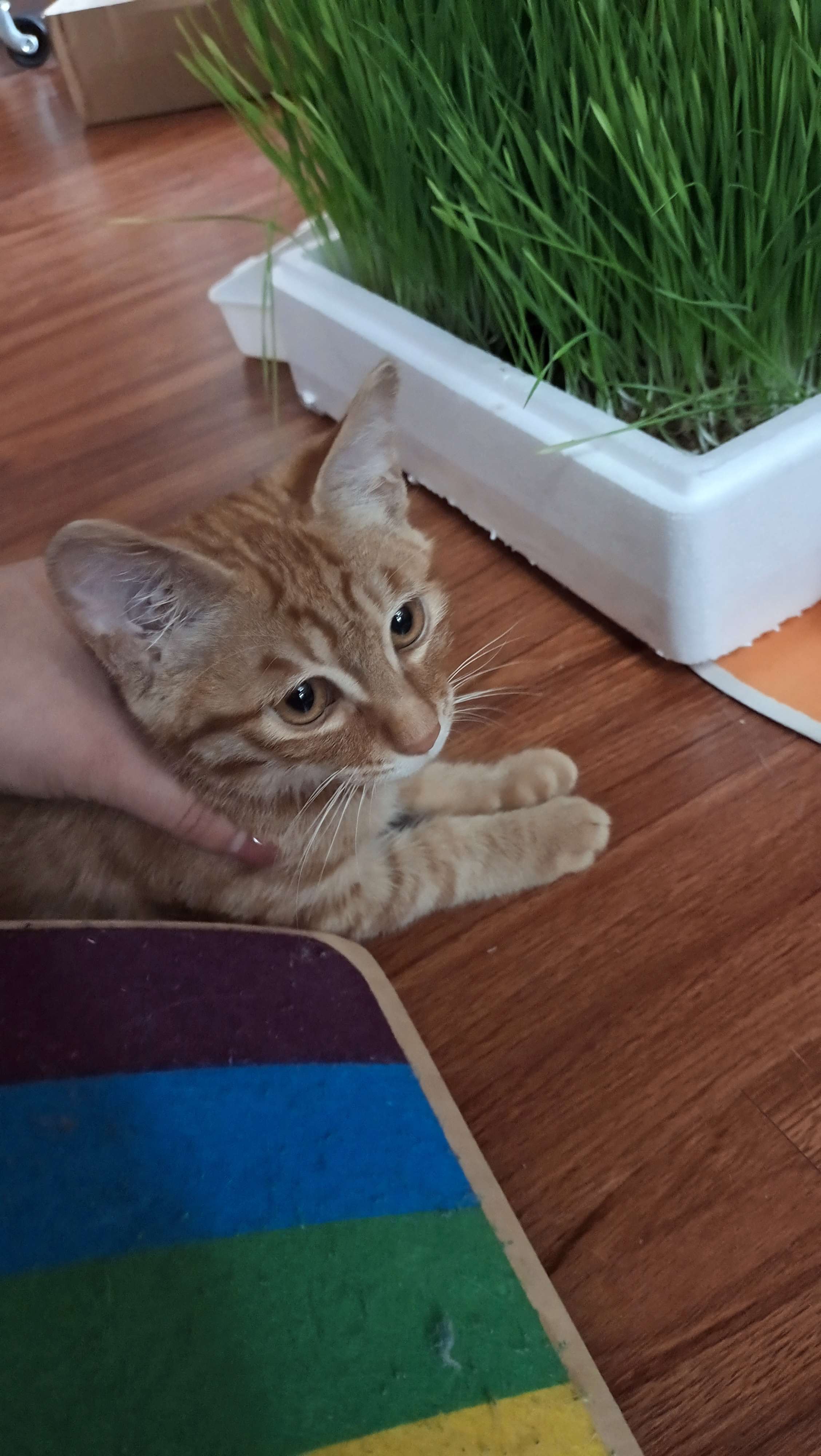 YaoSuo20231108111725-139360.jpg YaoSuo20231108111725-139360.jpg