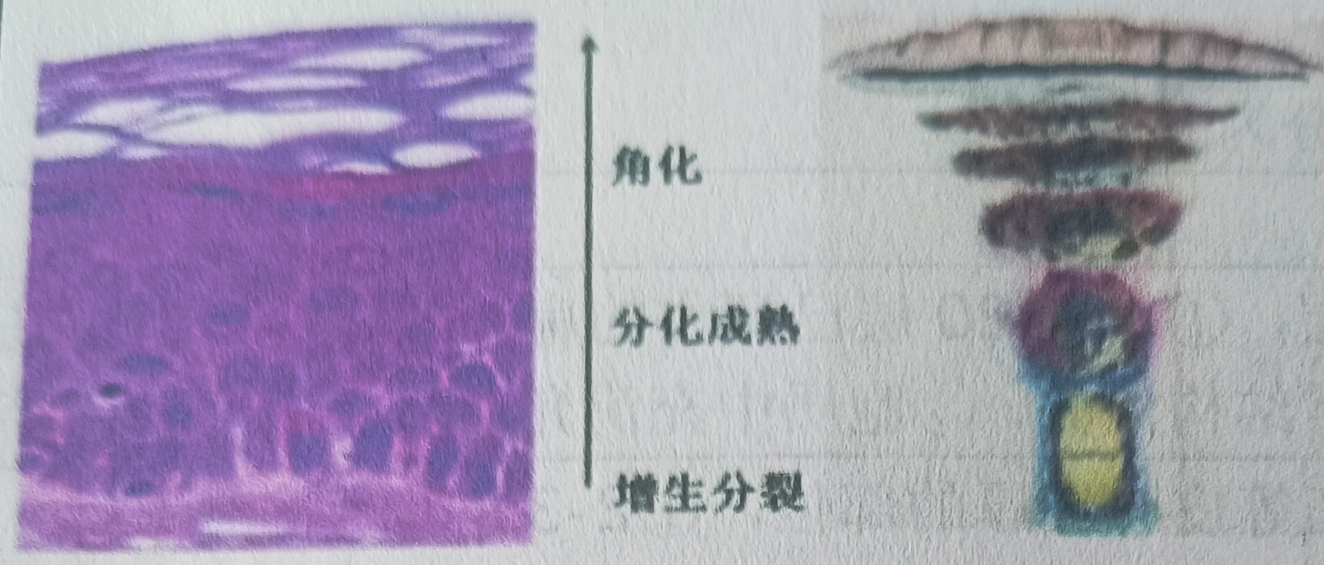 1000016057.jpg